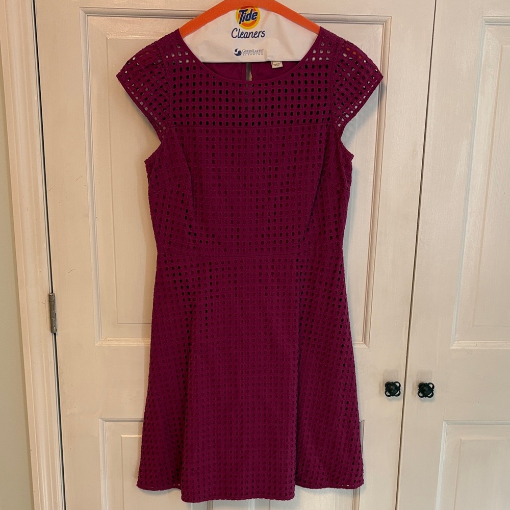 J. Crew Fuchsia Mini Dress